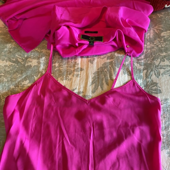 C. Wonder Bright Pink/Fuchsia Silk Dress with Slip - Picture 16 of 16